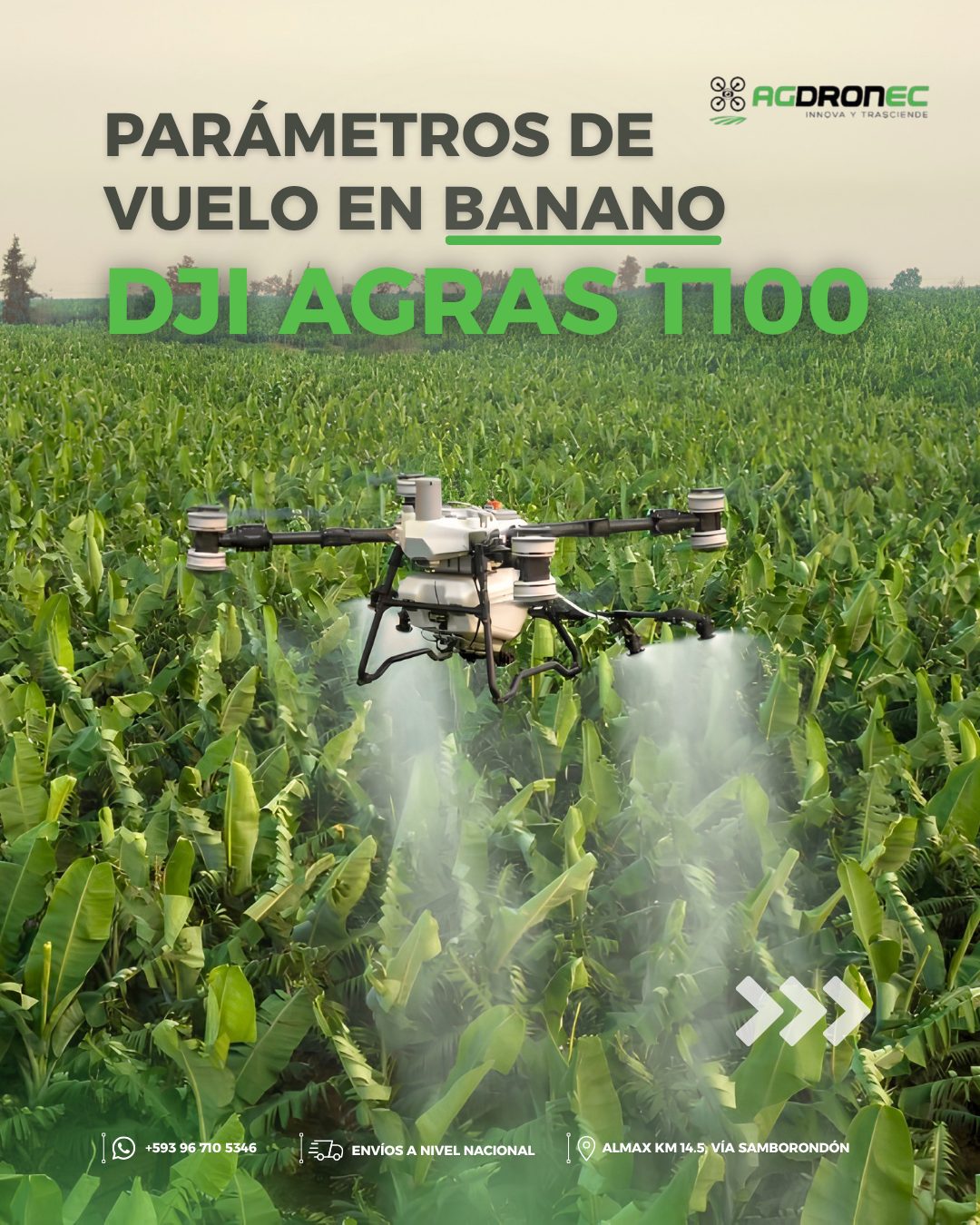 DJI Agras T100 — imagen 2 de 5