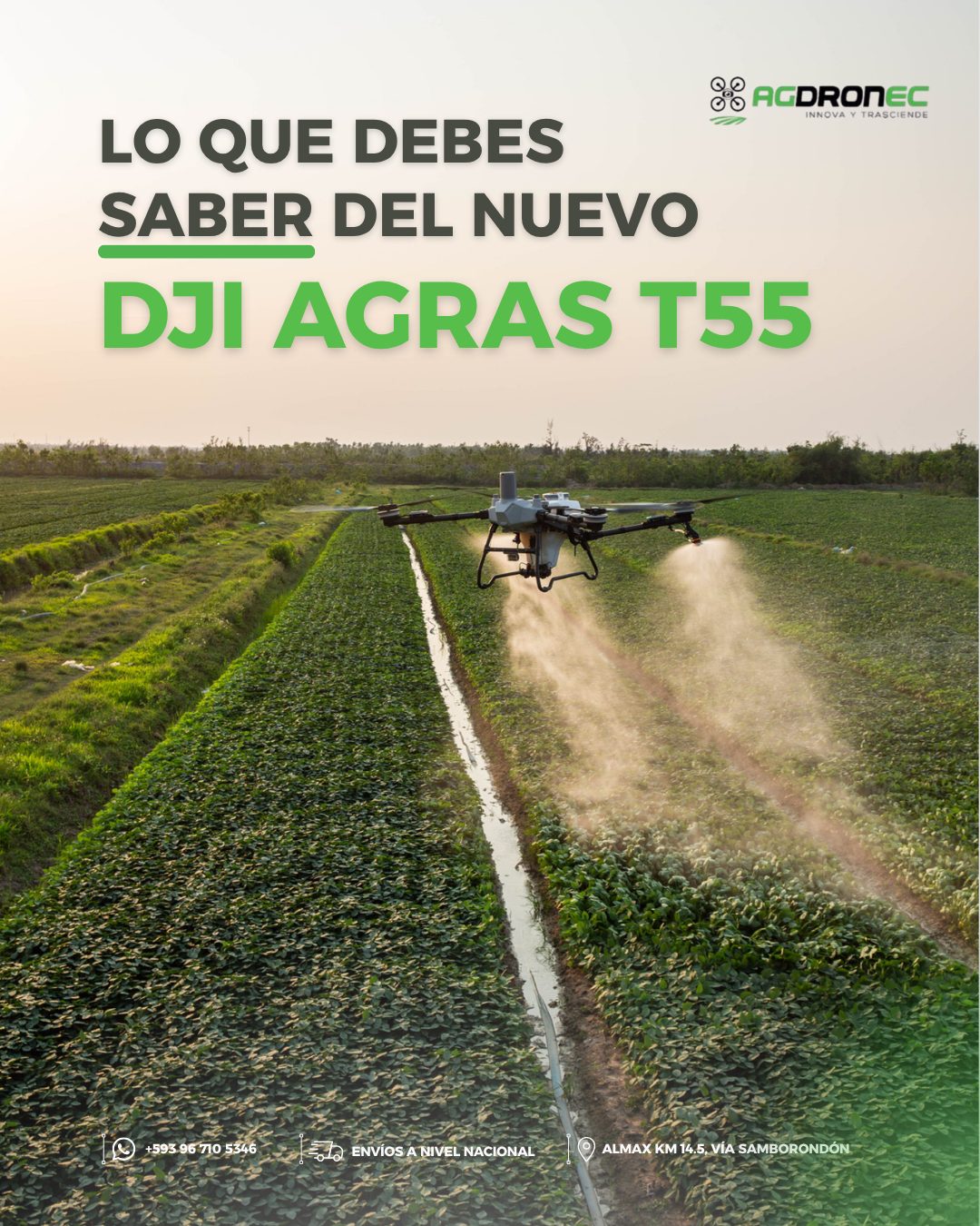DJI Agras T55 — imagen 6 de 7