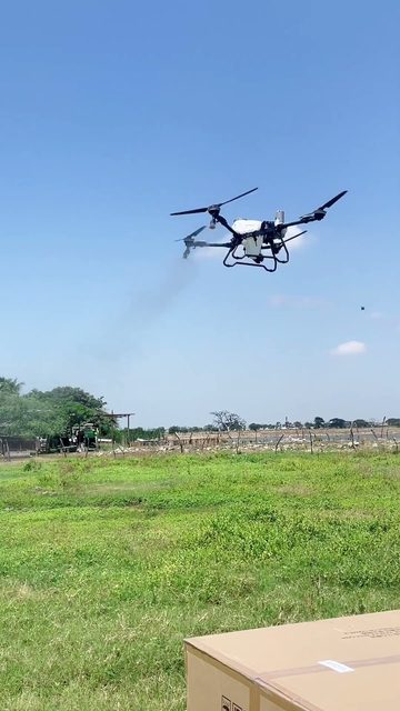 Carátula del video: Primeras impresiones en campo