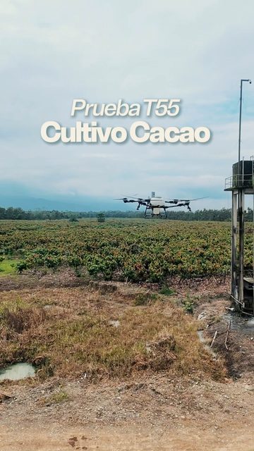 Carátula del video: El T55 en cacao